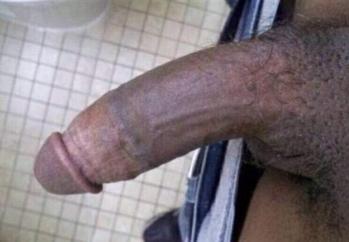 3473180400, transgender escort, Brooklyn