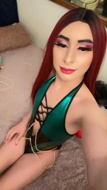3478760228, transgender escort, Brooklyn